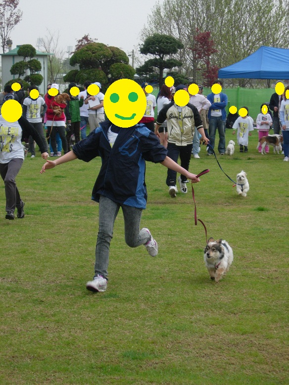 바둑이가 winner~!