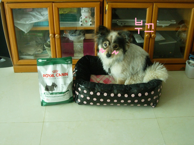 바둑이가 winner~!