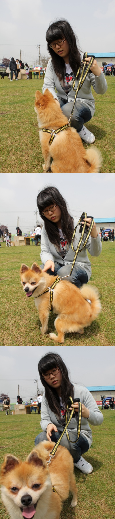 입양동물의날행사 1편 - 놀러왔어요