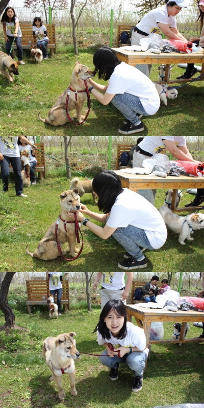 입양동물의날행사 1편 - 사무실아이들