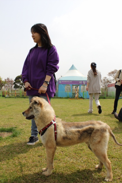 입양동물의날행사 5편 - 사무실아이들