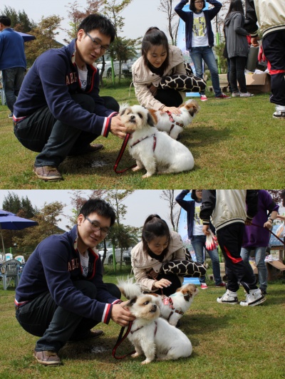 입양동물의날행사 10편 - 사무실아이들
