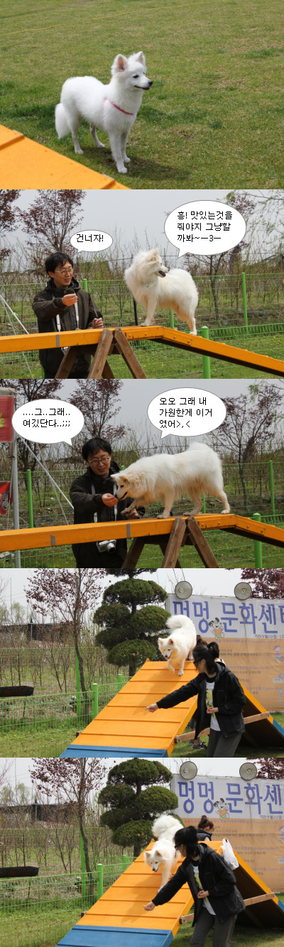 입양동물의날행사 3편 - 놀러왔어요