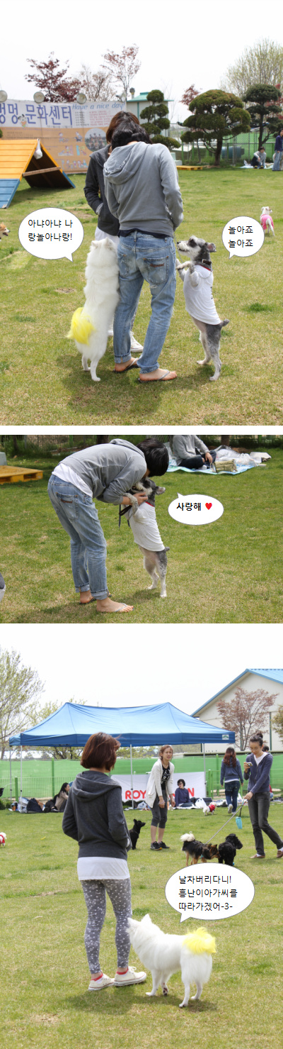 입양동물의날행사 4편 - 놀러왔어요