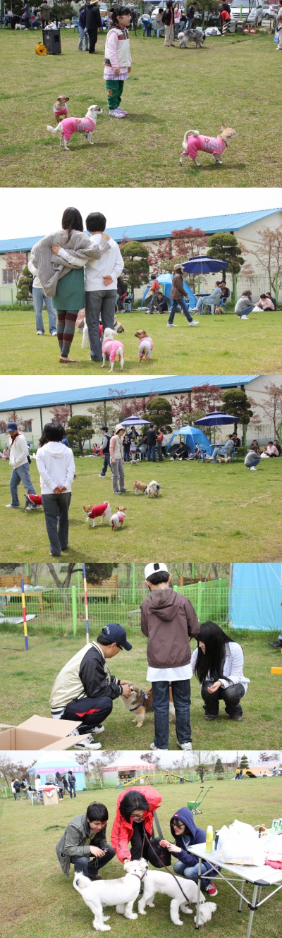 입양동물의날행사 5편 - 놀러왔어요