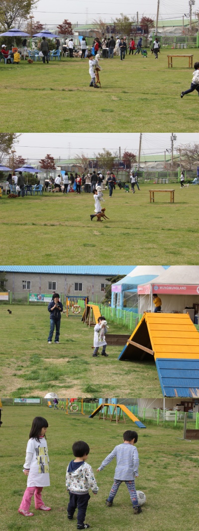 입양동물의날행사 10편 - 놀러왔어요