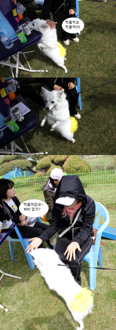 입양동물의날행사 11편 - 놀러왔어요(4편의 뒷이야기)