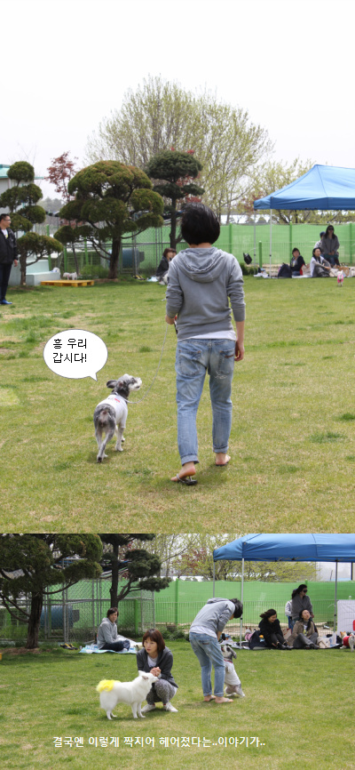 입양동물의날행사 11편 - 놀러왔어요(4편의 뒷이야기)