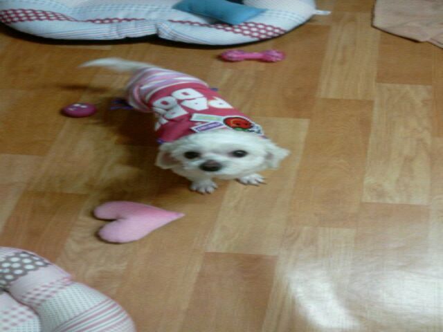 김구슬양 입양후 완벽 적응이예요..