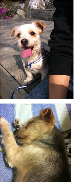 하로 (써니)예요^.^*