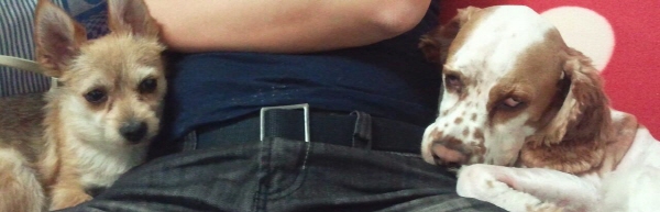 봉많형제 놀러왔어요