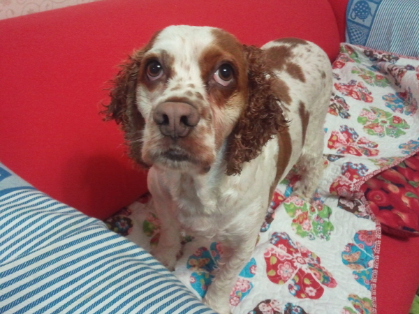 봉많형제 놀러왔어요