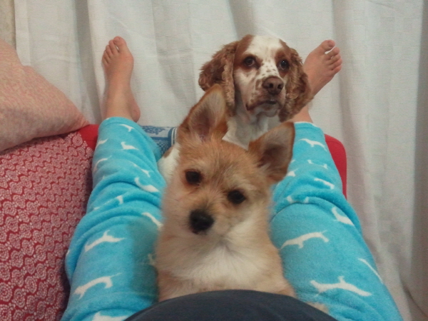 봉많형제 놀러왔어요