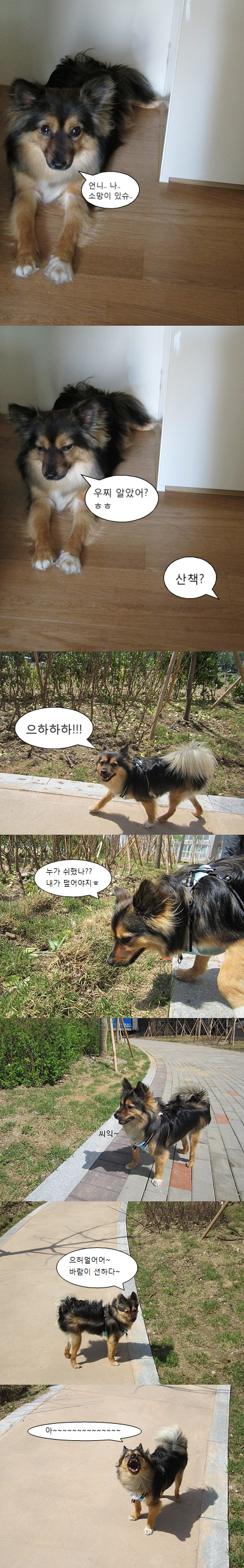 후기란 해동ㅎㅎ(그냥 좋은 산책)