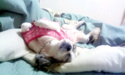 체리 소식들고 놀러왔어요