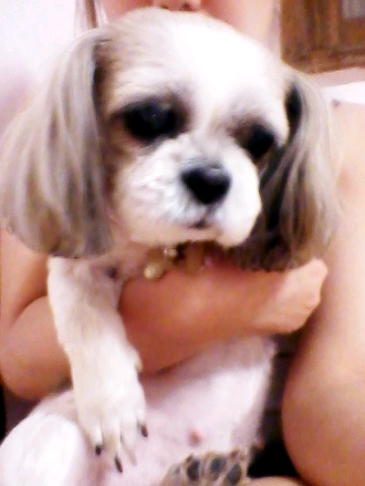 체리 소식들고 놀러왔어요