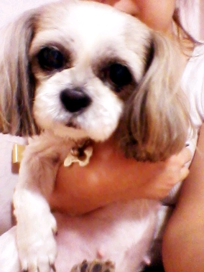 체리 소식들고 놀러왔어요