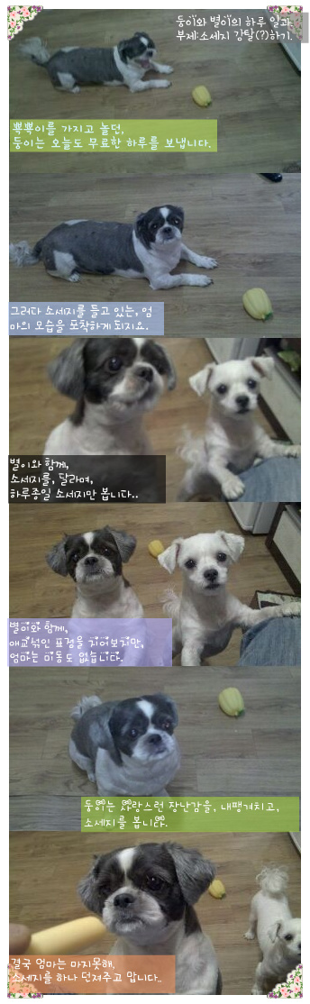 둥이 소식입니다!