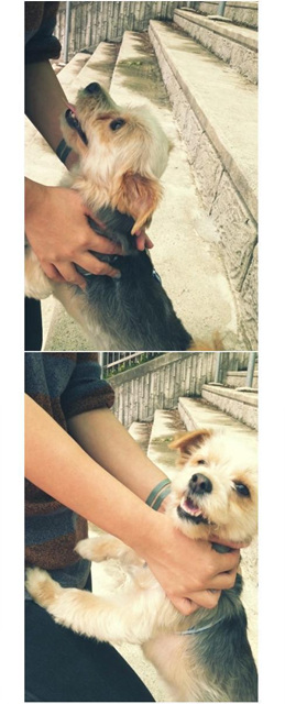 하로네 가족입니당. ^.^*