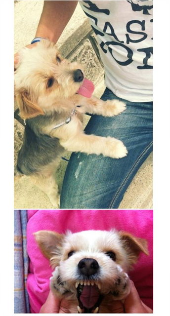 하로네 가족입니당. ^.^*