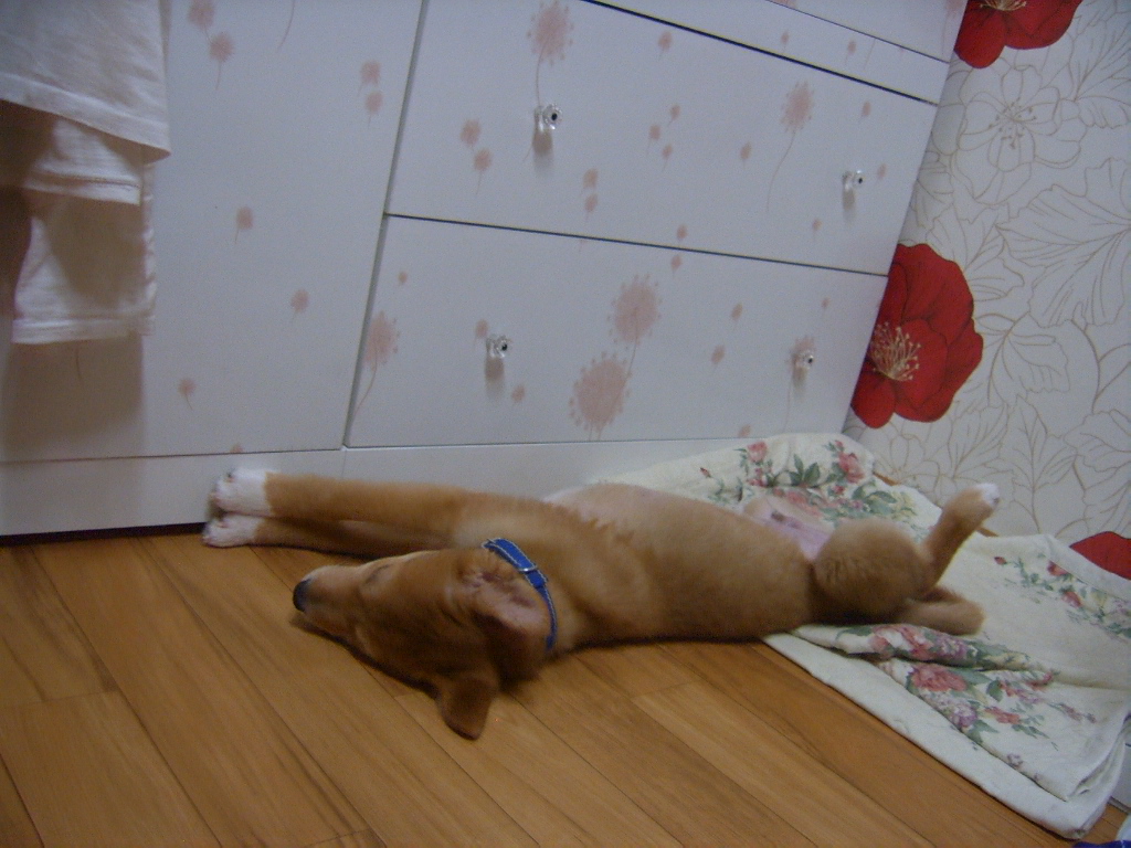 봉남이 오랜만에 왔어요^^