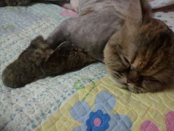 내숭덩어리였던 라엘!