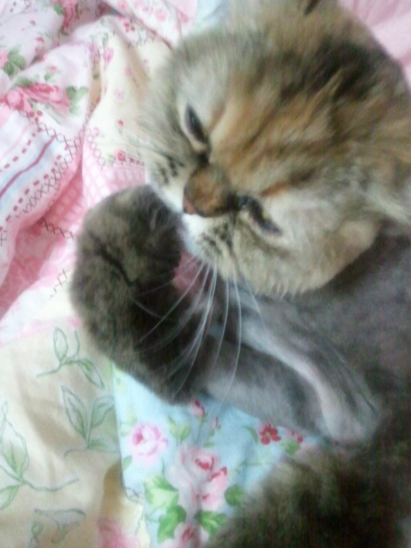 내숭덩어리였던 라엘!