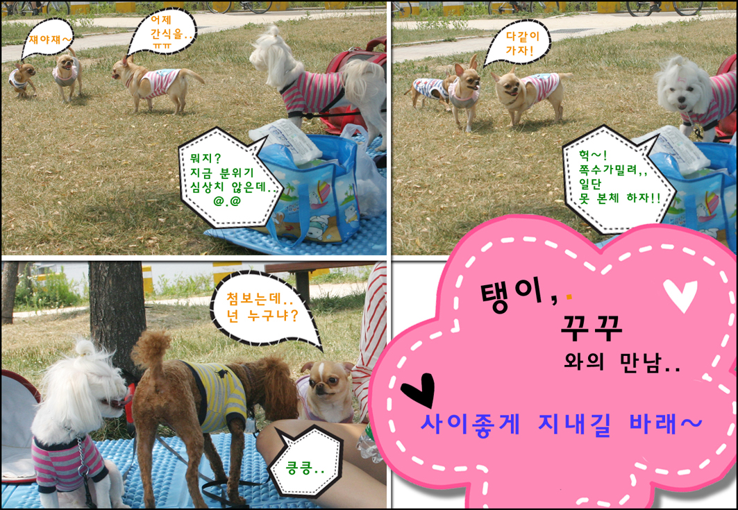 방울이딸랑이(한강나들이!)