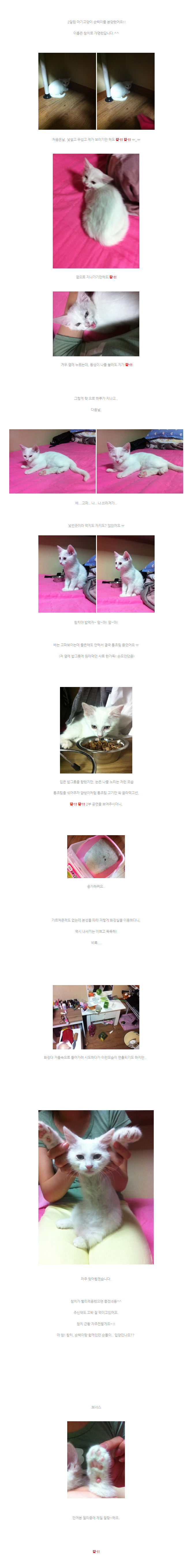 순백이 입양후기!! 글새로등록