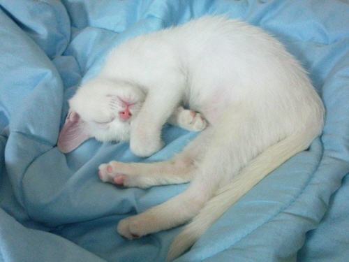 오랜만에 꼬맹이에요.