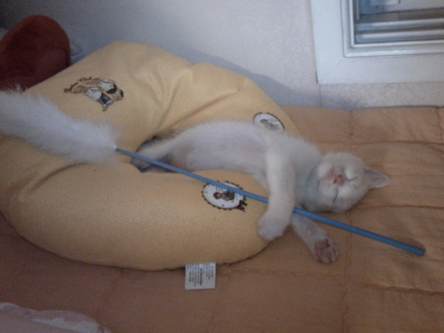 오랜만에 꼬맹이에요.