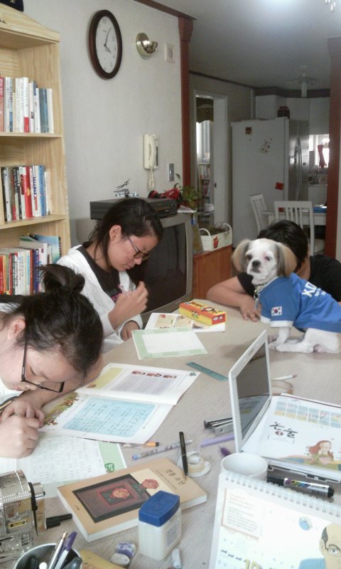 아톰으로 태어난 '멍이' 소식 전해요