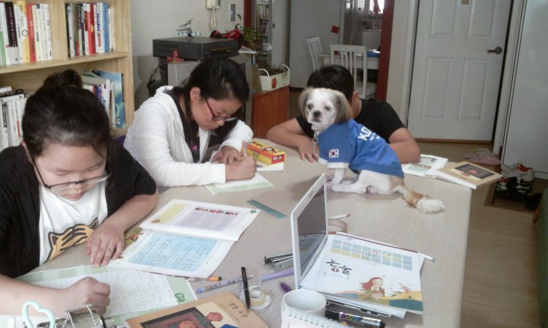 아톰으로 태어난 '멍이' 소식 전해요