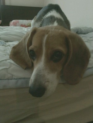 해리 놀러왔어요~~~^^