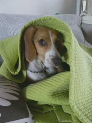 해리 놀러왔어요~~~^^