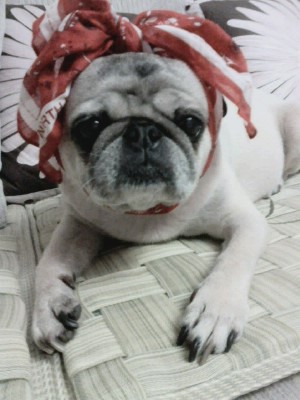 해리 놀러왔어요~~~^^