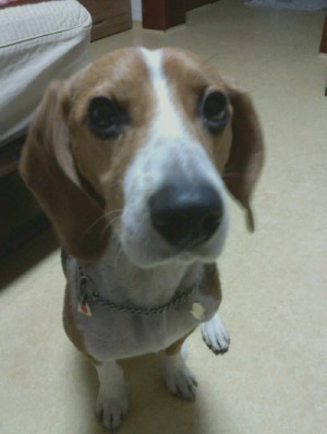 해리 놀러왔어요~~~^^