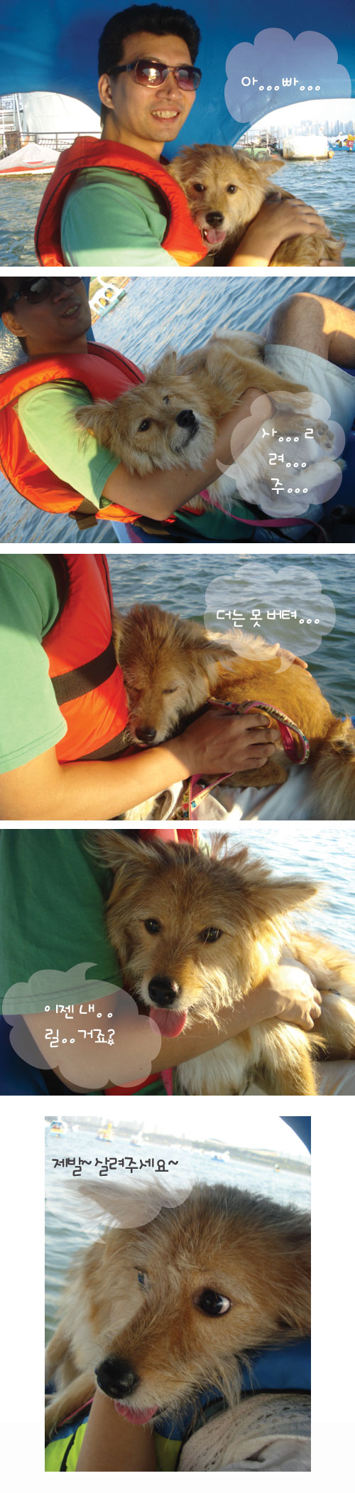 누렁이 한강에서 오리배 타고 놀았어요^^*