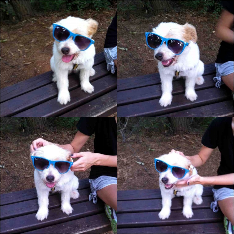 패셔니스타가 되기엔 너무 소심한 뚱순이