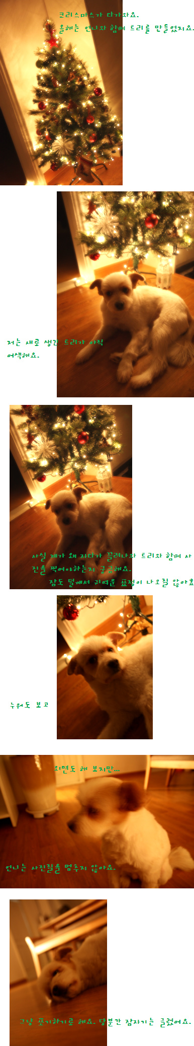 뚱순이의 한가롭던 겨울저녁