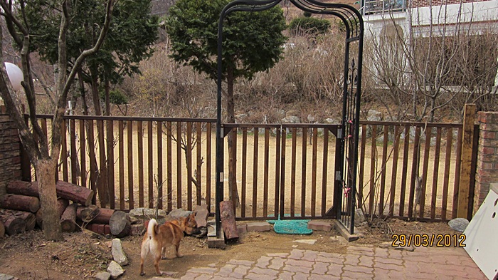 범이 10일째 되는날