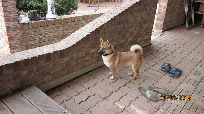 범이 10일째 되는날