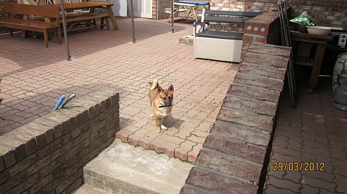 범이의 밖에 집