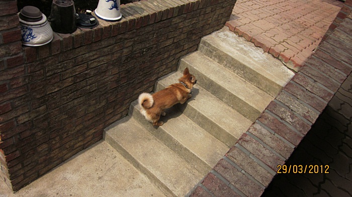 범이의 밖에 집