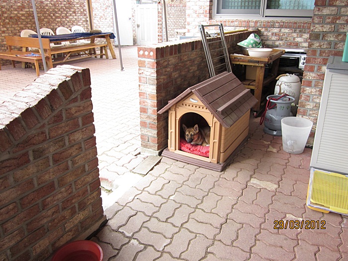 범이의 밖에 집