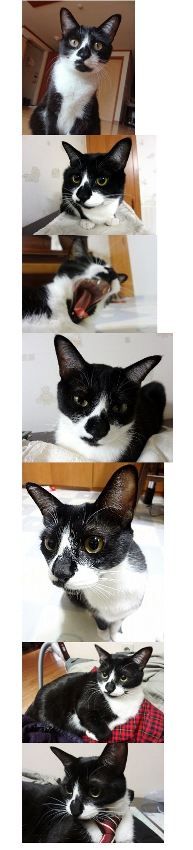 정말 오랜만이에요!! 사순이 똘이~~