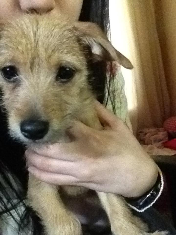 다솜이가 아닌 지지!!2