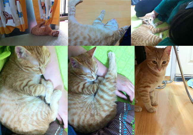 장화(한비) 2주차 소식입니다.