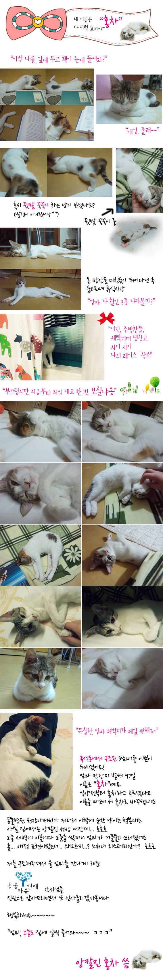 초절정 미녀! 돌아온 홍차냐옹~~~