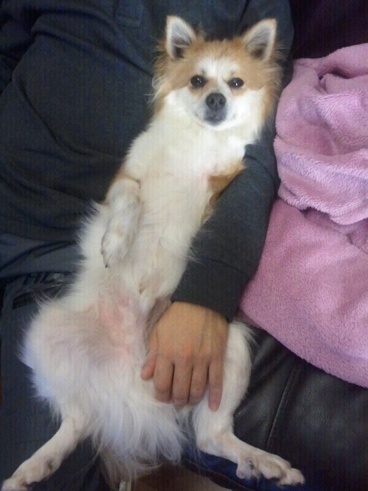 울아들 밤톨이예요^^